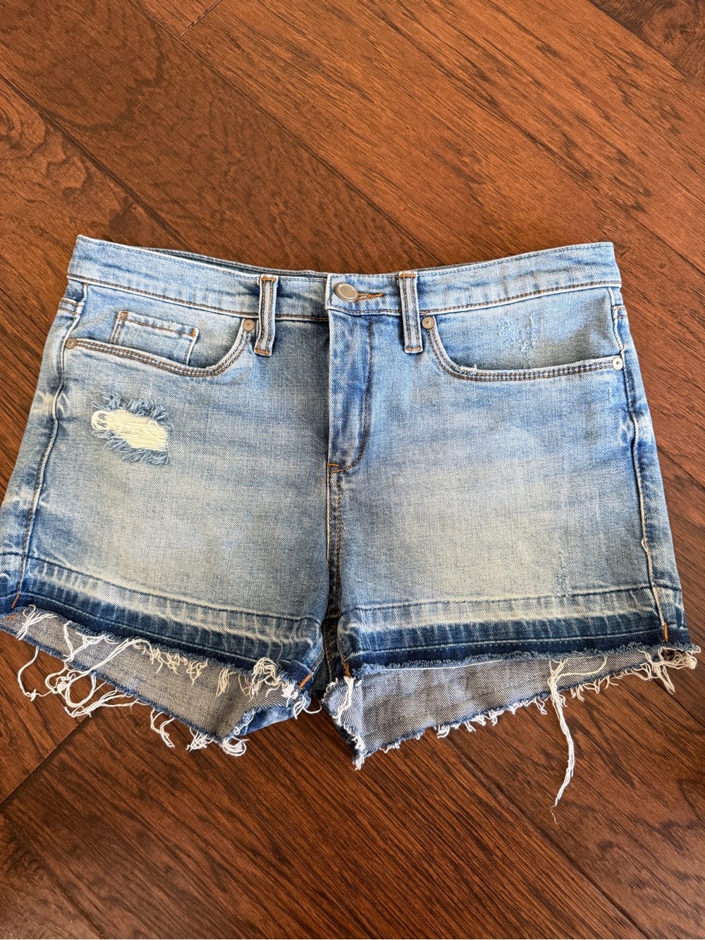 Blank NYC hike short Distressed Denim Women's Shorts 29